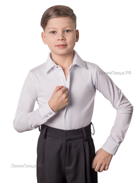 photo_rubashka_bodi_tantsuyushchie_fokstrot_balnaya_1_