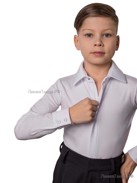 photo_rubashka_bodi_tantsuyushchie_fokstrot_balnaya_1_
